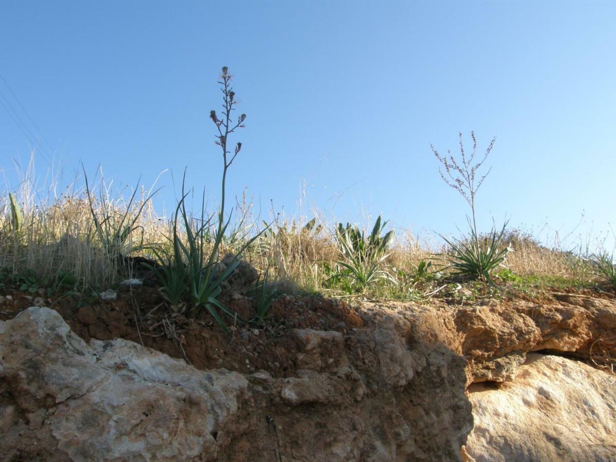 Apartmán Christi α&β Kokkini Hani